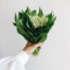 hand holding a bouquet of lily of the valley